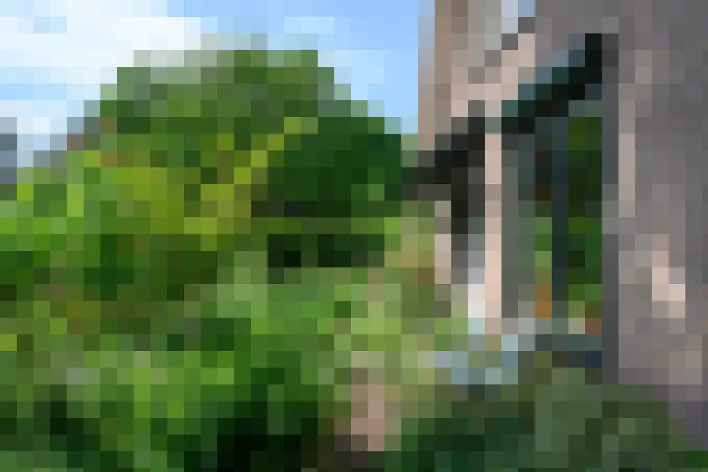 Reuweg 33 Loenen thumbnail 47