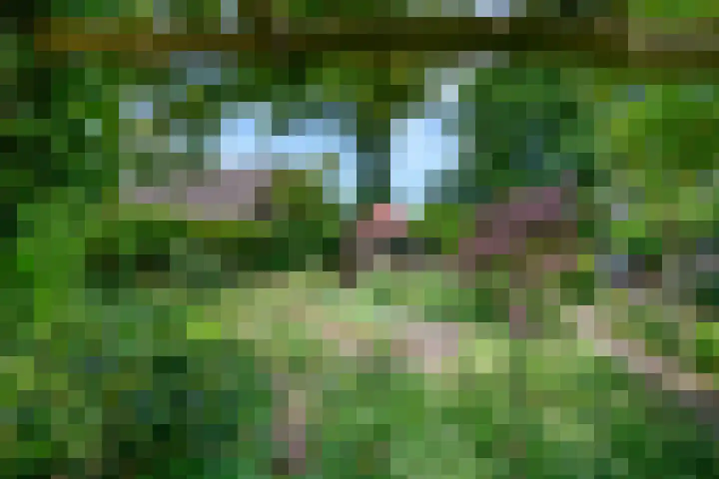 Reuweg 33 Loenen thumbnail 5