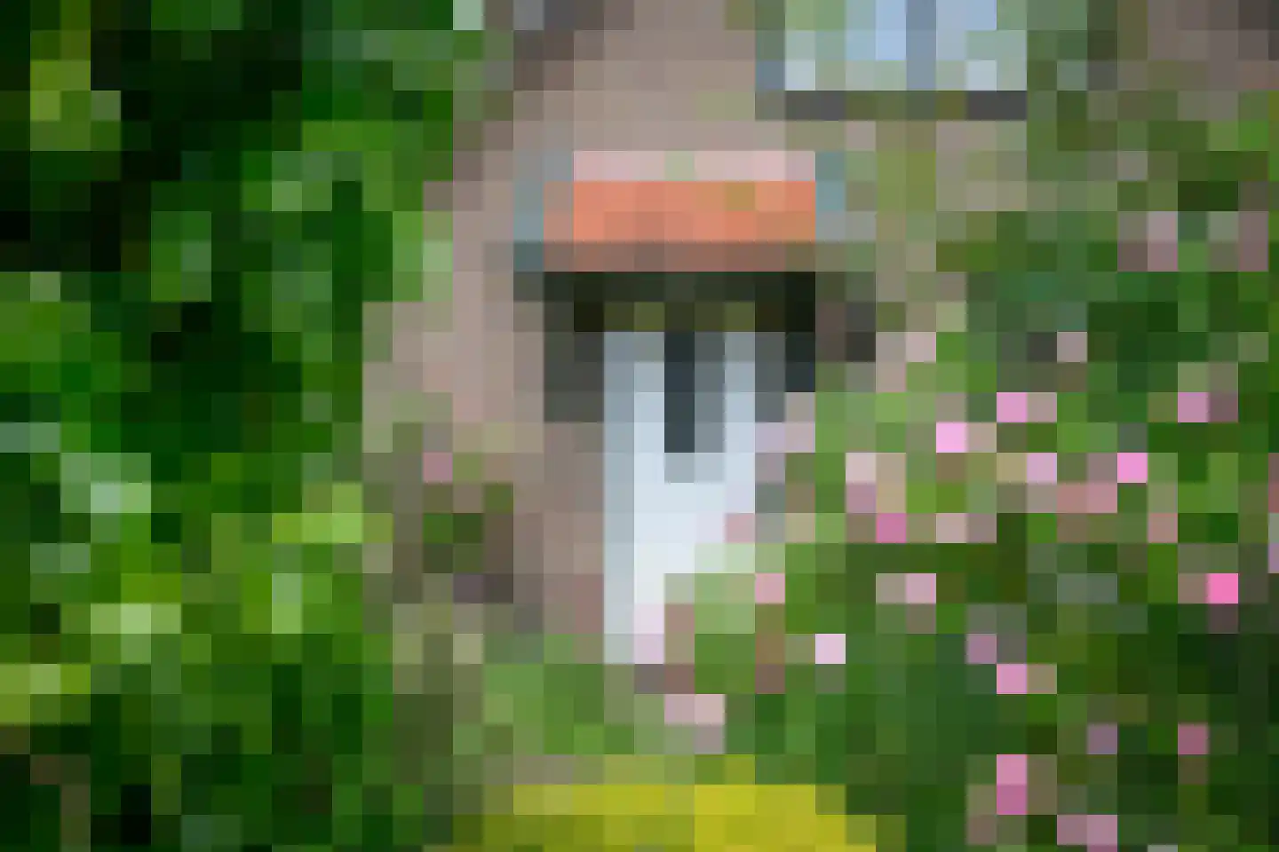Reuweg 33 Loenen thumbnail 50