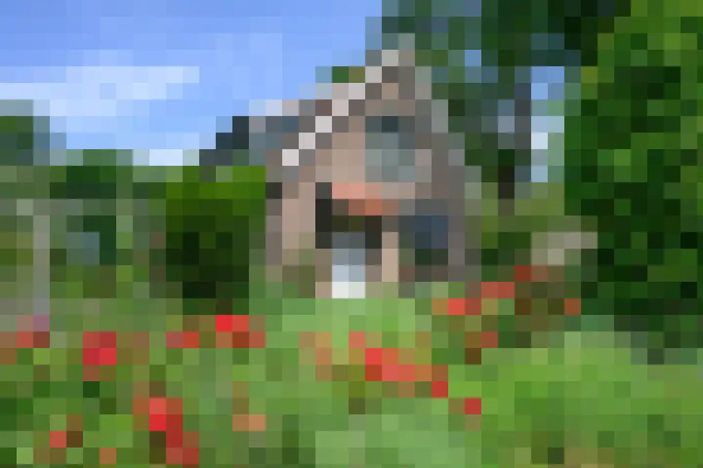 Reuweg 33 Loenen thumbnail 51
