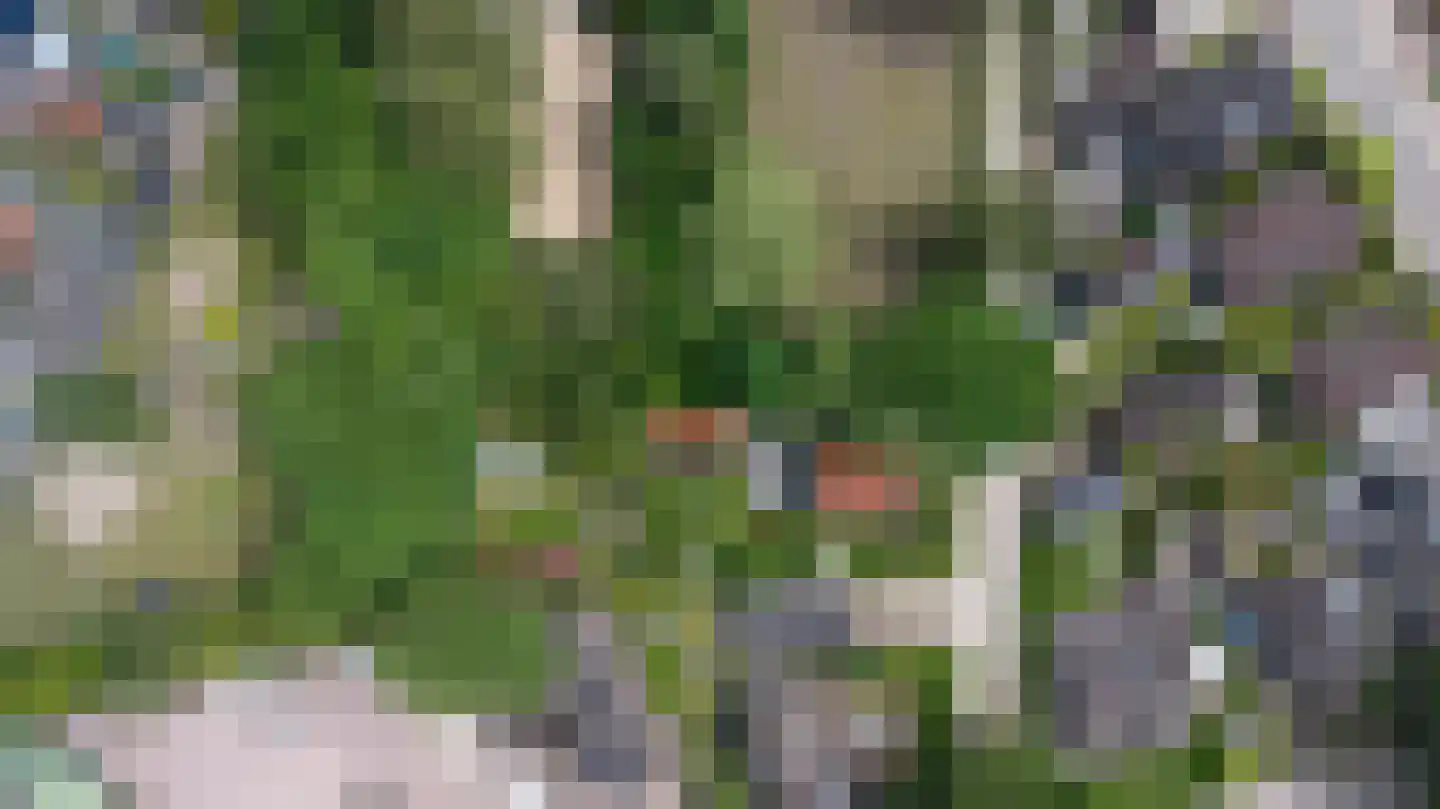 Reuweg 33 Loenen thumbnail 55
