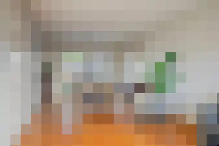 Reuzenberg 24 Veldhoven thumbnail 10