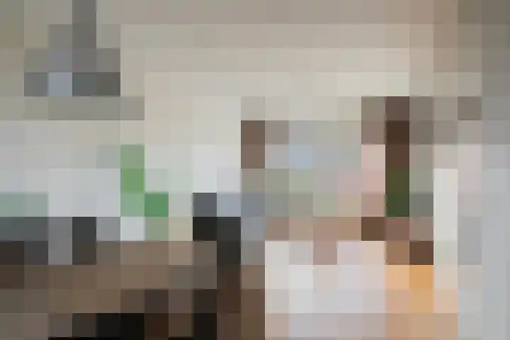 Reuzenberg 24 Veldhoven thumbnail 12