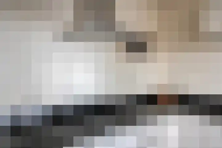 Reuzenberg 24 Veldhoven thumbnail 14