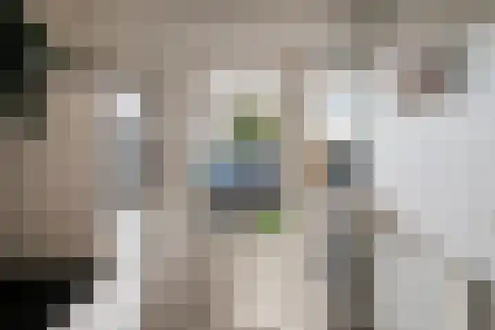 Reuzenberg 24 Veldhoven thumbnail 16