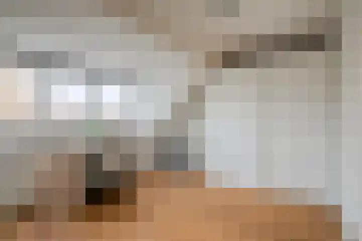Reuzenberg 24 Veldhoven thumbnail 19