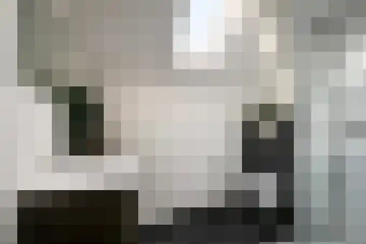 Reuzenberg 24 Veldhoven thumbnail 22