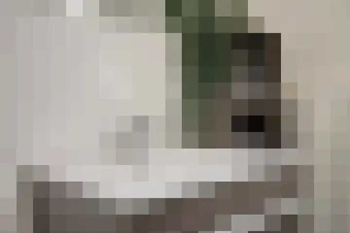 Reuzenberg 24 Veldhoven thumbnail 24