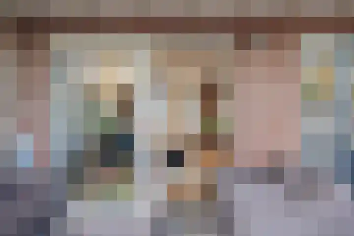 Reuzenberg 24 Veldhoven thumbnail 32