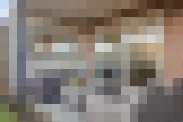Reuzenberg 24 Veldhoven thumbnail 33