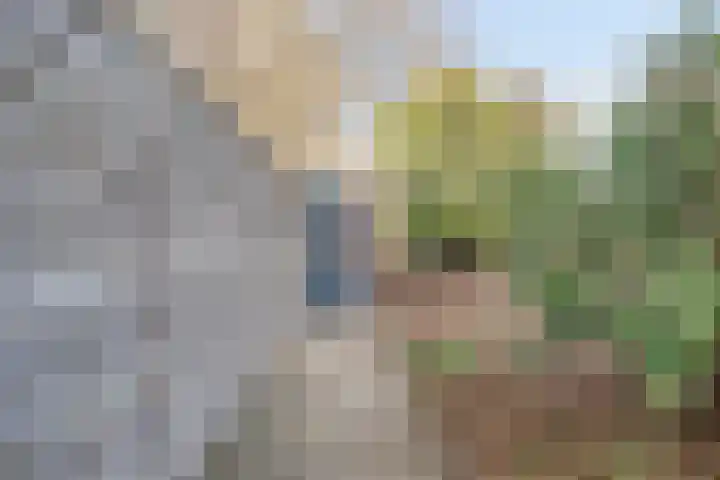 Reuzenberg 24 Veldhoven thumbnail 36