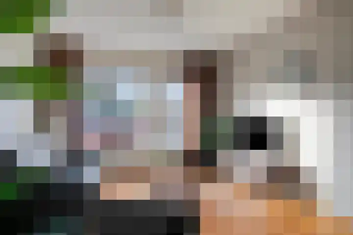 Reuzenberg 24 Veldhoven thumbnail 8