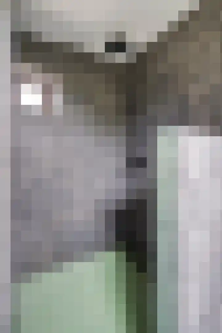 Reuzenhoek 15 Zaamslag thumbnail 11