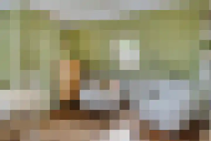 Reuzenhoek 15 Zaamslag thumbnail 15
