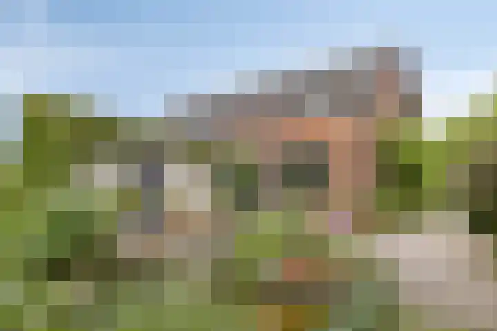 Reuzenhoek 15 Zaamslag thumbnail 18