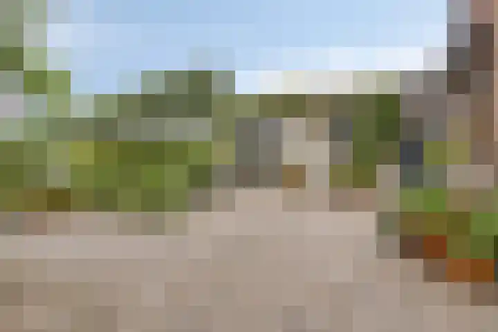 Reuzenhoek 15 Zaamslag thumbnail 19