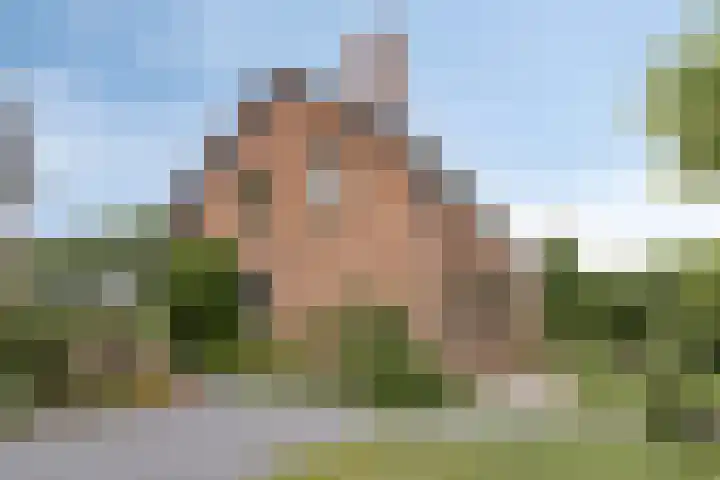 Reuzenhoek 15 Zaamslag thumbnail 21