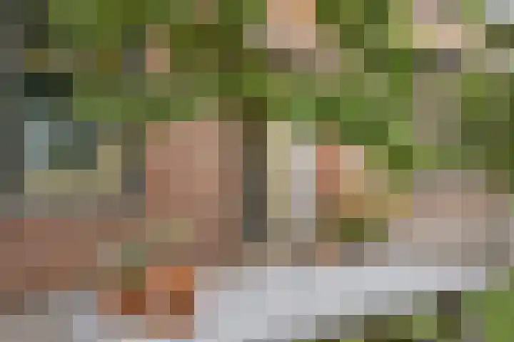 Reuzenhoek 15 Zaamslag thumbnail 23