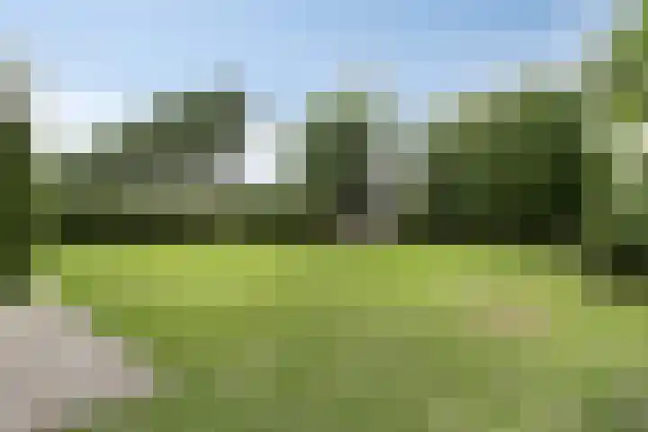 Reuzenhoek 15 Zaamslag thumbnail 24