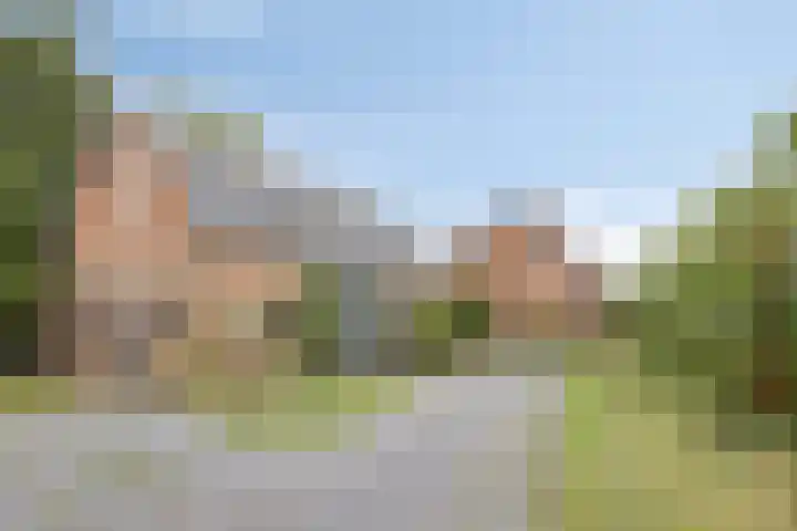 Reuzenhoek 15 Zaamslag thumbnail 30