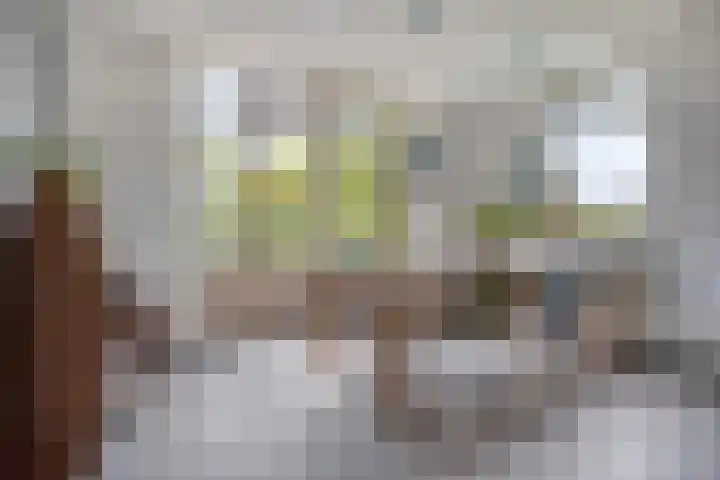 Reuzenhoek 15 Zaamslag thumbnail 7