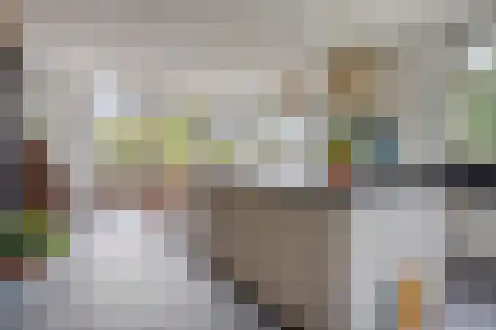 Reuzenhoek 15 Zaamslag thumbnail 8