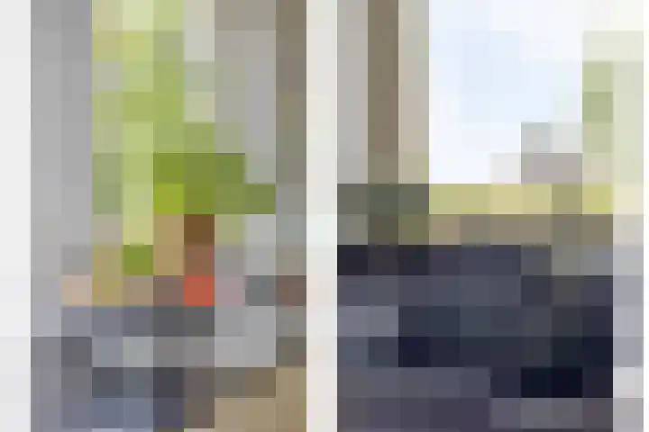 Reuzenhoek 15 Zaamslag thumbnail 9