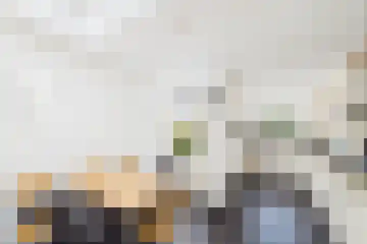 Reuzenhoek 40 Zaamslag thumbnail 11