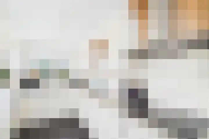 Reuzenhoek 40 Zaamslag thumbnail 12
