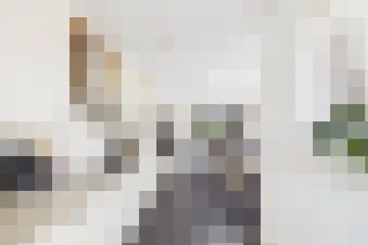 Reuzenhoek 40 Zaamslag thumbnail 15