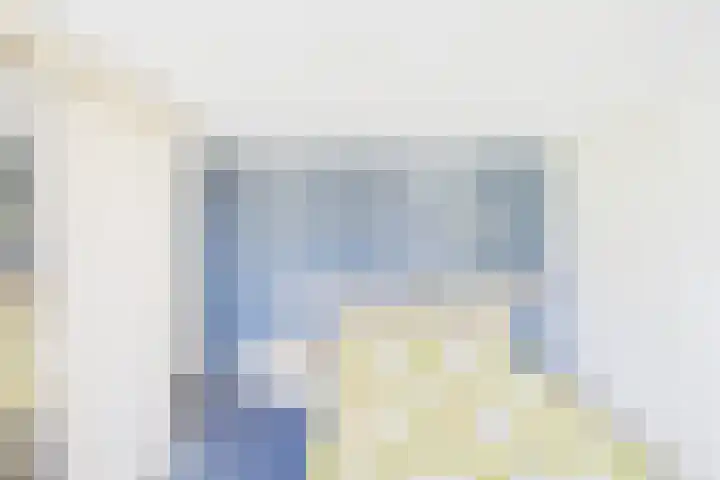 Reuzenhoek 40 Zaamslag thumbnail 24