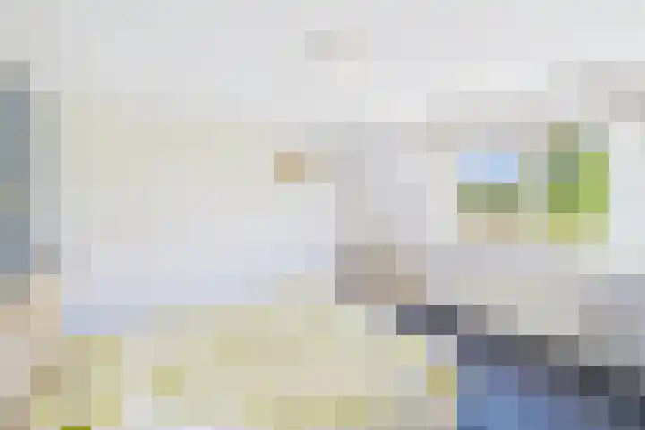 Reuzenhoek 40 Zaamslag thumbnail 25