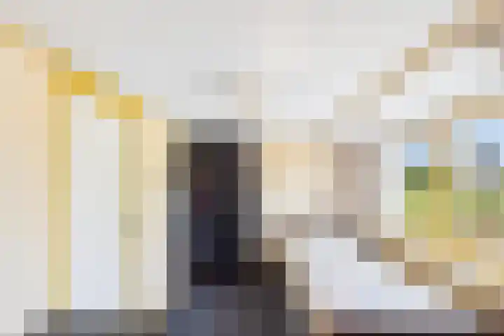 Reuzenhoek 40 Zaamslag thumbnail 28