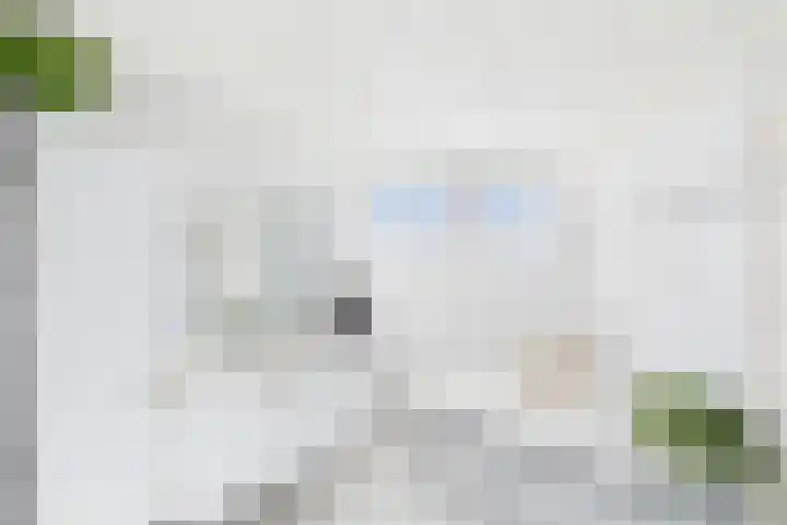 Reuzenhoek 40 Zaamslag thumbnail 32
