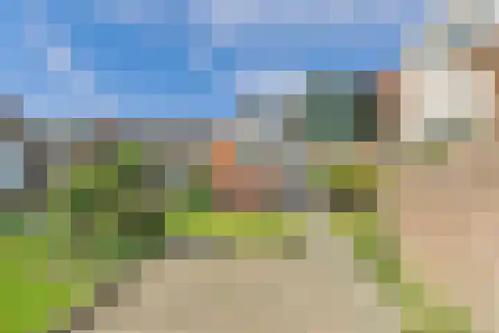 Reuzenhoek 40 Zaamslag thumbnail 34