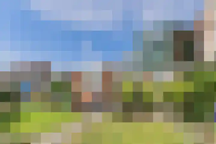 Reuzenhoek 40 Zaamslag thumbnail 35