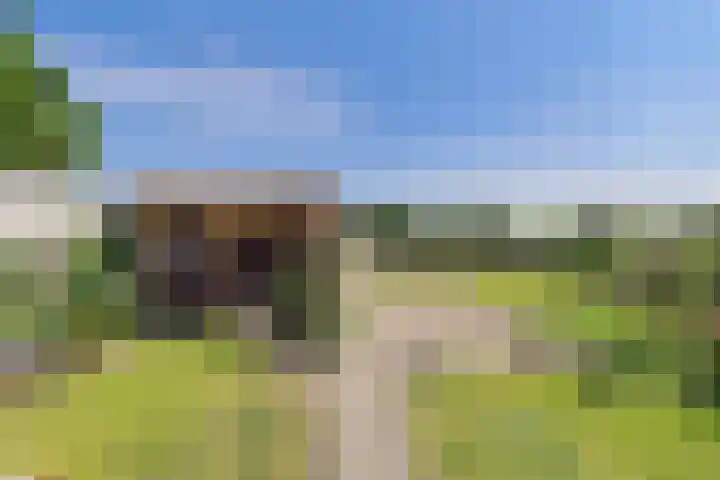Reuzenhoek 40 Zaamslag thumbnail 36