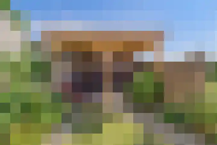 Reuzenhoek 40 Zaamslag thumbnail 37