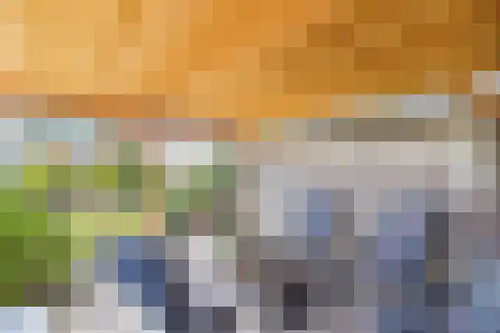 Reuzenhoek 40 Zaamslag thumbnail 38