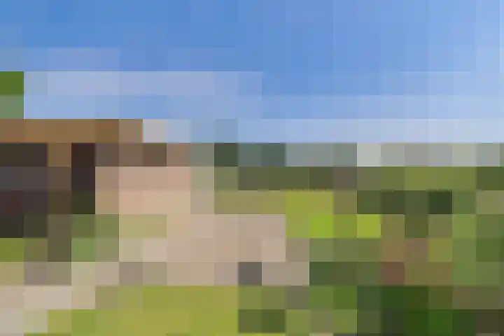 Reuzenhoek 40 Zaamslag thumbnail 39