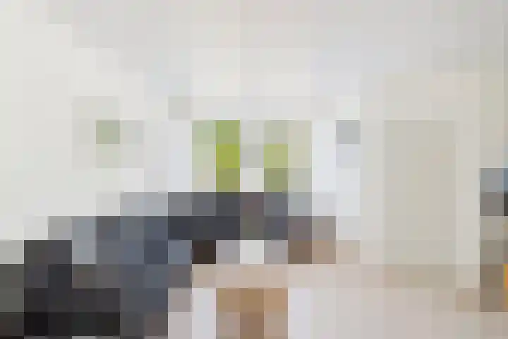 Reuzenhoek 40 Zaamslag thumbnail 4