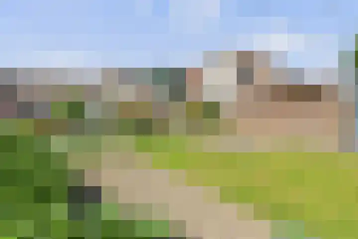 Reuzenhoek 40 Zaamslag thumbnail 40