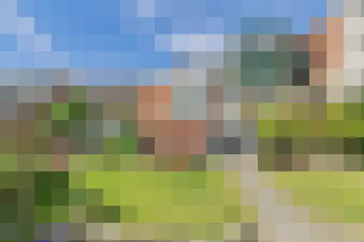 Reuzenhoek 40 Zaamslag thumbnail 41