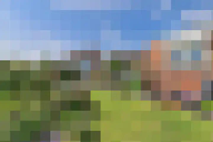 Reuzenhoek 40 Zaamslag thumbnail 42