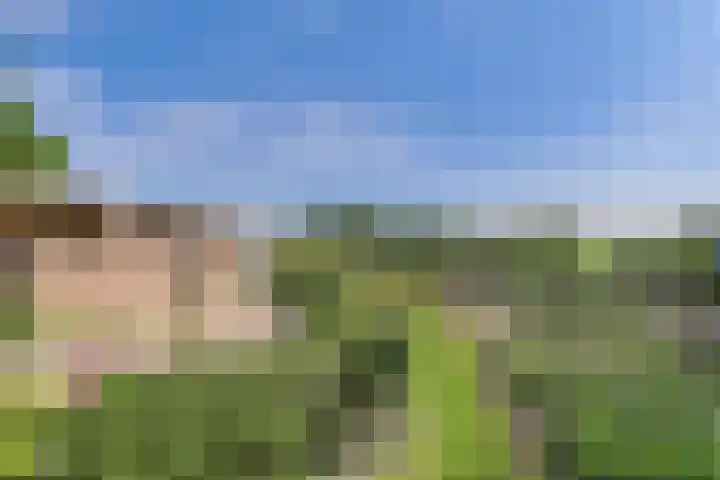 Reuzenhoek 40 Zaamslag thumbnail 43