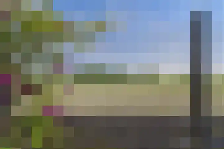 Reuzenhoek 40 Zaamslag thumbnail 44