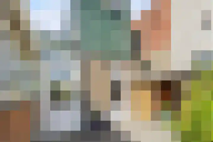 Reuzenhoek 40 Zaamslag thumbnail 45