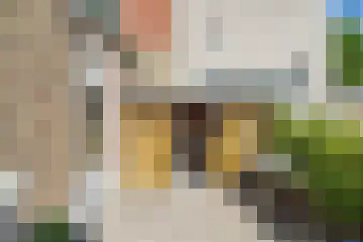 Reuzenhoek 40 Zaamslag thumbnail 46