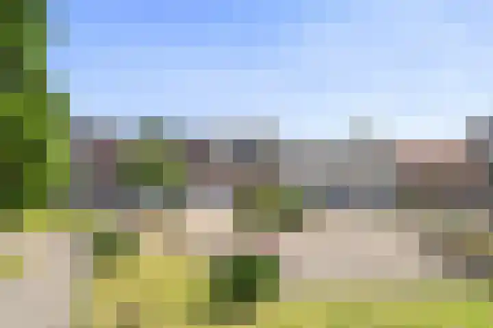Reuzenhoek 40 Zaamslag thumbnail 47