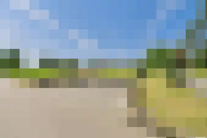 Reuzenhoek 40 Zaamslag thumbnail 48